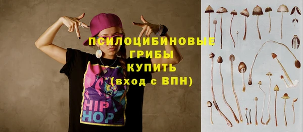 хмурый Зеленокумск