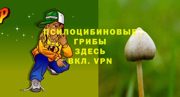 скорость Зеленодольск