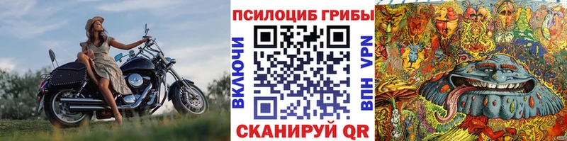 Псилоцибиновые грибы GOLDEN TEACHER Холм